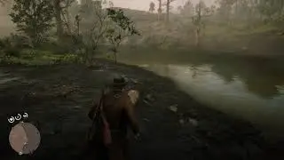 RDR 2 -  Beaver Attack