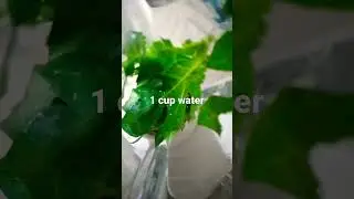 Dengue fever treatment at home |Increase Blood platelets with Home remedies
