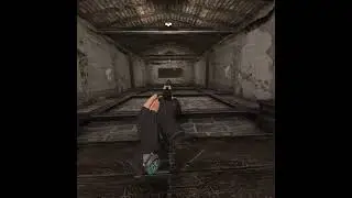 Shooting Skills vs. Reloading Skills - Resident Evil 4 VR