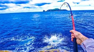 Casting Lures At Big Kingfish