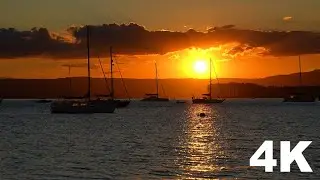 Sunset Over the Sea | Golden Light, Gentle Waves & Peaceful Boats | 4K Coastal Ambience