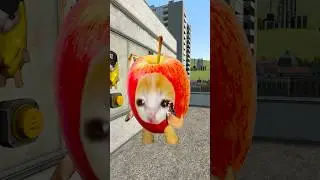 Applecat Trying to Tricked Bananacat Policeman #shorts 😾🍌🍎