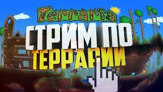 Rini_San_S Reveals Top Terraria Secrets!