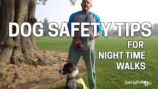 Dog Safety Tips For Nighttime Dog Walking