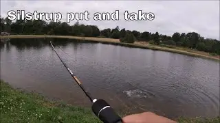 Spotfiskeri ved Silstrup put and take
