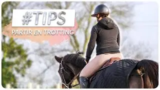 ROUTINE AVANT DE PARTIR EN TROTTING ❤️ | #OHLALATIPS