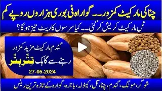 today wheat market became volatile | chana price | Guar market crash | Sesame market crash | bk