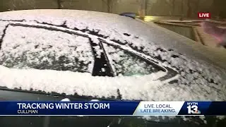Snow accumulation in Cullman, Alabama