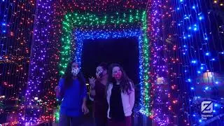 TXU Energy Presents Zoo Lights 2020
