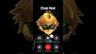 APPEL CHAT NOIR MIRACULOUS IL R&Eacute;POND
