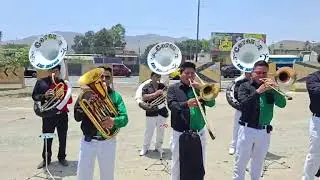 FIESTA EN HONOR A SAN MARTIN DE PORRES - LIMA, NOVIEMBE 2025 (2)