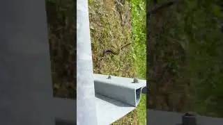 Встреча с гадюкой.