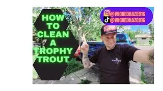 How to Clean a Trophy Trout!!
