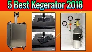 5 Best Kegerator 2018