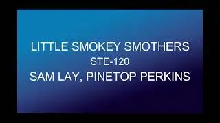 Little Smokey Smothers STE 120 with Sam  Lay And Pinetop Perkins