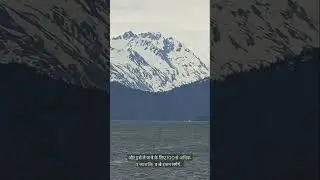 How to Measure the Size of the Freedom Ship 😮
