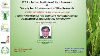 Webinar on Developing rice cultivars for water saving cultivation: a physiological perspective