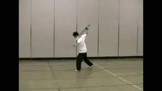 Bagua Sabre 八卦刀