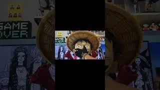 SHRINK LUFFY 1:1 SCALE PET STUDIO