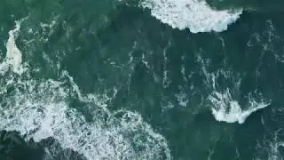 Pexels Videos 1918465