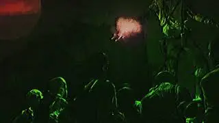 RDR Undead Nightmare  -  Chupacabra (slowed)