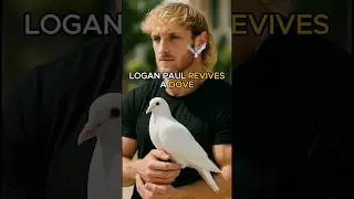 Логан Пол спасает голубя 🕊️ #loganpaul #loganpaulclips #joeroganexperience #joeroganpodcast #jre