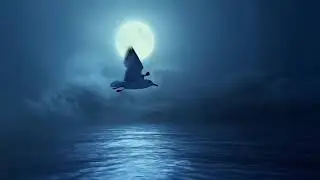 Animated AI Short Film