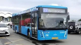 Владивосток. Поездка на автобусе МАЗ-203.047 (б/н 772). Маршрут 77.