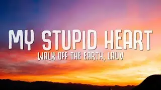 My Stupid Heart - Walk off the Earth, Lauv (Lyrics)