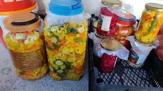 آموزش درست کردن کلم ترشی مواد اولیه سرکه 🥙🥗🍝😋