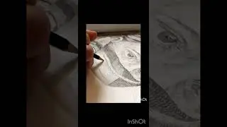 #timelapse #timelapsedrawing #art #hyperrealisticdrawing #hyperrealisticart #graphite #drawing