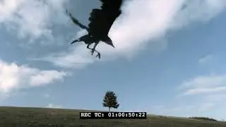 Quentin Simon / Theme composed on Six Feet Under opening scene