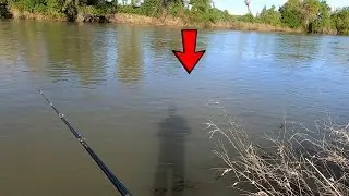 Sacramento river striper Fishing Report