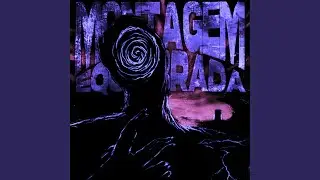 Montagem Equilibrada