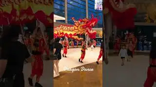 Dragon Dance #dragon #dance #dancer #dancers #dragondance #festival #event #performance #parade #fyp