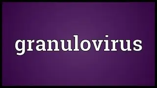 Granulovirus Meaning