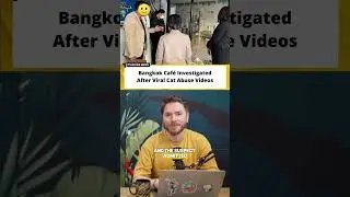Кафе в Бангкоке подверглось расследованию после того, как в сети распространились видеоролики, на...