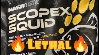Nash Scopex Squid Spod Mix... lethal 🔥🔥🔥