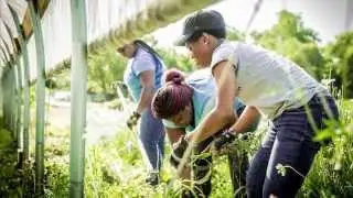 CICF and IBJ's Forty Under 40: Cultivating the Next Generation
