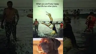 Rip Balls | Dog x Life Meme #shorts #viral #fyp #trending #memes #dog