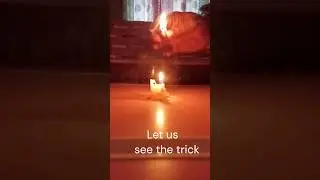Funny Experiment with Matchbox #experiment #shortfeed #viral #science #shorts #matchbox #diy #how