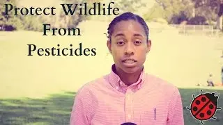 Protecting Non-Target Wildlife from Pesticides