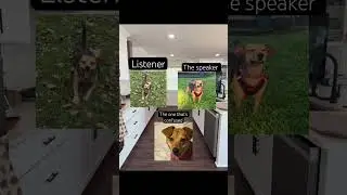 #puppy #viral