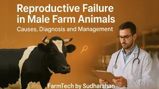 Reproductive Failure in Male Farm Animals | Causes, Diagnosis and Management |FarmTech by Sudharshan