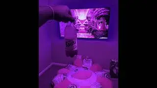 [FREE] Bashfortheworld Type Beat 