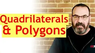 Quadrilaterals & Polygons