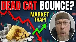 Is GOLD & Silver Recovering OR is THIS a Dead Cat Bounce?