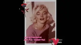 LADY CLAUDINE -'YOU DO SOMETHING TO ME' - MARILYN 🤍🌹 MY ANNIVERSARY TRIBUTE - 'THE LAST PHOTO'S' 🤍✨️