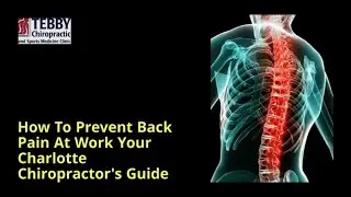 How To Prevent Back Pain At Work | Your Charlotte Chiropractor | Tebby Clinic