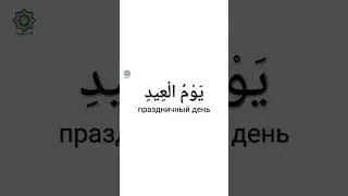 &laquo;ад-Дурусу ш-Шифахия&raquo; Урок 25. Слова. Часть 4. #арабскийязык #обучение #уроки